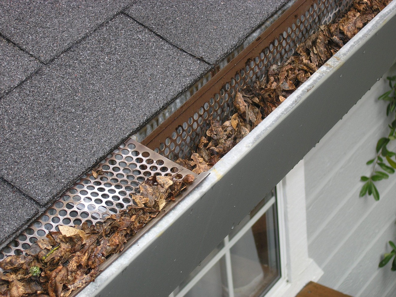 Metal gutter with a mesh guard holding back autumn leaves